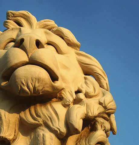 手机号狂轰滥炸软件