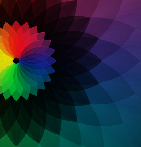 让运营更高效的云呼死你网页版